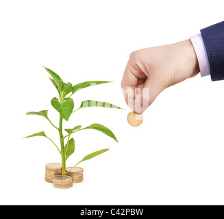 Alberello crescente dalla pila di monete e la mano che regge una moneta Foto Stock