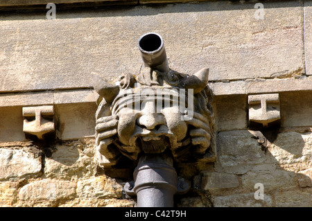 Gargoyle sulla St Botolph's Church, Barton Seagrave, Northamptonshire, England, Regno Unito Foto Stock