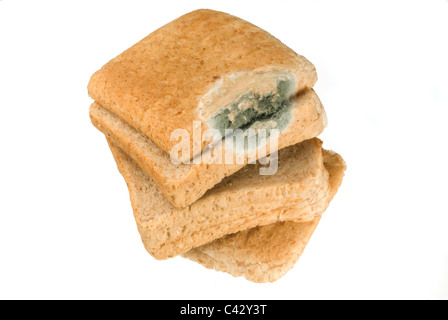 Vecchio ammuffito a fette di pane marrone che è stato di circa 3 settimane di età e che era stato conservato in frigorifero. Foto Stock