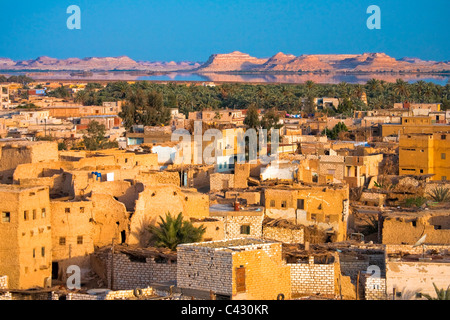 Paesaggio intorno alla città di Siwa, Oasi di Siwa, Egitto Foto Stock