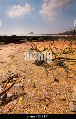 Sunrise over lavato fino elementi sulla spiaggia di Wembury in Devon Foto Stock