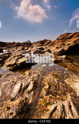 La mattina presto vista di piscine di roccia alla Baia di Wembury nel Devon guardando fuori verso il Grande Mewstone Foto Stock