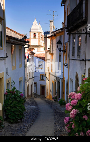 Il quartiere medievale, Castelo de Vide village, Alentejo, Portogallo Foto Stock