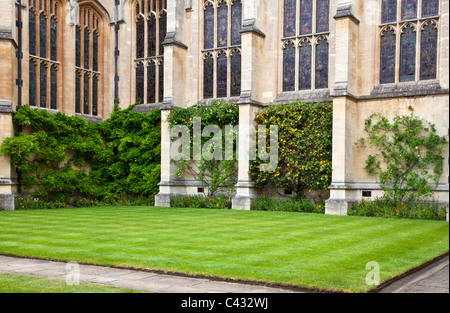 Un angolo del quad di tutte le anime College, Oxford University, Oxfordshire, Inghilterra, Regno Unito, Gran Bretagna Foto Stock
