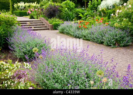 Un mattone sentiero lastricato che conduce a passi attraverso il paese giardino alla RHS Wisley, Surrey, England, Regno Unito Foto Stock