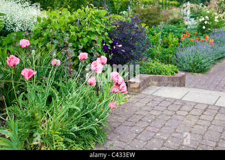 Un mattone sentiero lastricato attraverso il paese giardino alla RHS Wisley, Surrey, England, Regno Unito Foto Stock