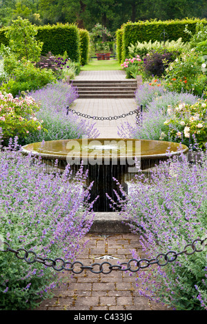 Il giardino di campagna con acqua caratteristica, rose e Nepeta o nepitella ad RHS Wisley, Surrey, England, Regno Unito Foto Stock