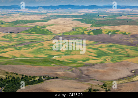 Vista della Palouse il paesaggio agricolo da Steptoe Butte Washington STATI UNITI D'AMERICA Foto Stock
