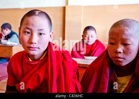 Classe scolastica con giovani monaci in Galden Namgey Lhatse Monastero, Arunachal Pradesh, India Foto Stock