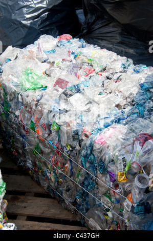 Bottiglie di plastica e altri contenitori sono state raccolte e confezionate presso l Università del Montana, Missoula. Foto Stock