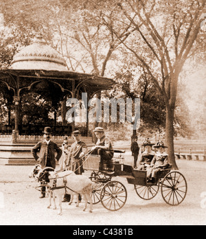 Carrello di capra al Central Park di New York Stati Uniti d'America circa 1900 Foto Stock