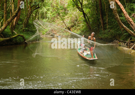 Iban uomo getta la sua rete da pesca in Batang Ai National Park in Sarawak, Borneo Malaysia Foto Stock