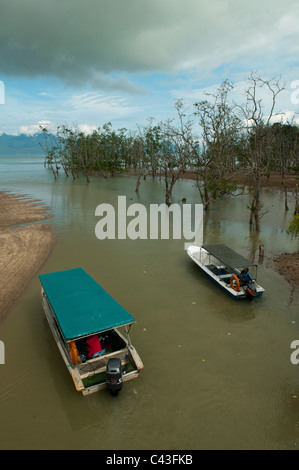 Barche in mangrovie in Bako National Park in Sarawak, Borneo Malaysia Foto Stock