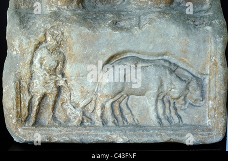 Operazioni di aratura o operazioni di aratura con buoi o bestiame, scolpiti in rilievo in marmo di epoca romana monumento funerario o tomba da Nimes, Francia Foto Stock