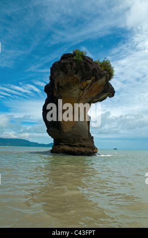 Bellissimi paesaggi costieri in Bako National Park in Sarawak, Borneo Malaysia Foto Stock