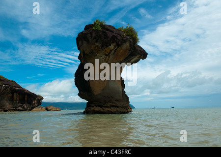 Bellissimi paesaggi costieri in Bako National Park in Sarawak, Borneo Malaysia Foto Stock