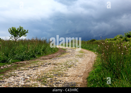 L'Albania, Balcani, Europa Centrale, Europa Orientale, Europea, Europa meridionale, le destinazioni di viaggio, Paesaggio, natura, Apollonia, Foto Stock