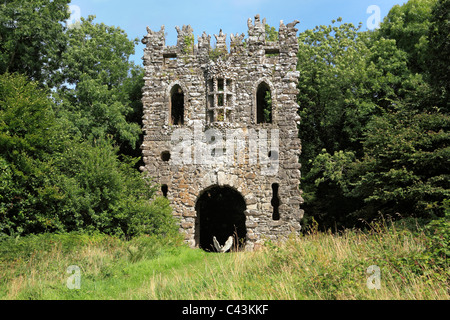 Eire, Europa, europea, l'Irlanda, irlandese, Europa occidentale, le destinazioni di viaggio, architettura, edilizia, case, Paesaggio, natura Foto Stock