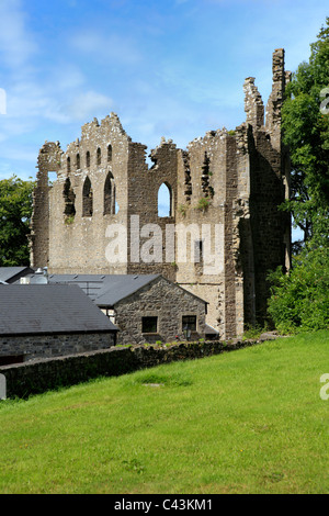 Eire, Europa, europea, l'Irlanda, irlandese, Europa occidentale, le destinazioni di viaggio, architettura, edilizia, Case Belvedere casa, pa Foto Stock
