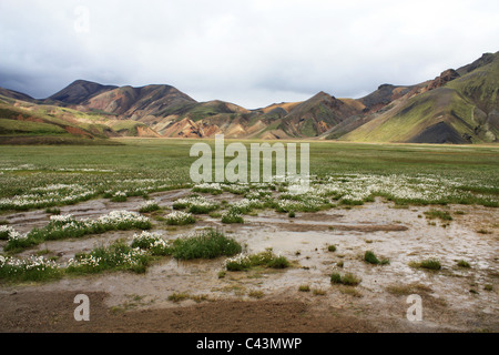 L'Islanda, isola di Vulcano, Europa, natura, paesaggio, paesaggio, Landmannalaugar, Liparitbergen, montagne, highland, Fjallabak nati Foto Stock