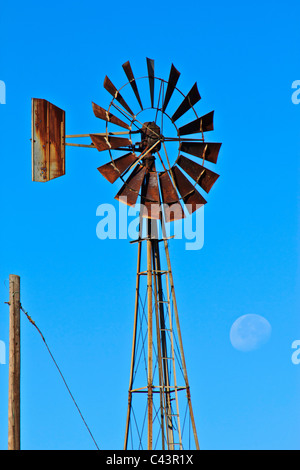 Grande, luna, giorno Lago Texoma, mattina, Texas, Stati Uniti d'America, cisterna di acqua, mulino a vento, mulino a vento Foto Stock