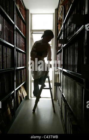 Silhouette di persona sulla parte superiore della scala il recupero di libri dalla biblioteca scaffale Foto Stock