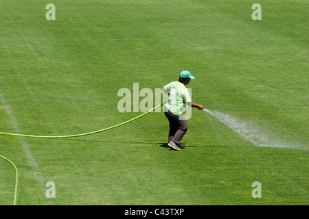 Donna prato di irrigazione Foto Stock