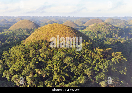 Le belle colline di cioccolato all'alba, Isola di Bohol, Filippine Foto Stock