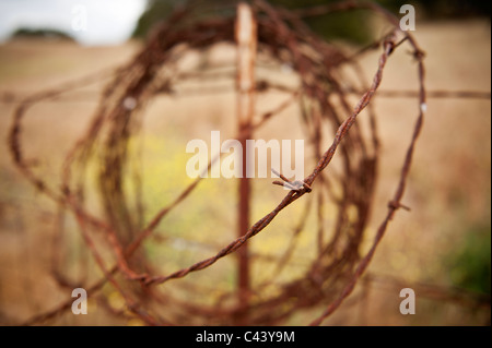 Vecchio arrugginito bobina di filo dentellato sul recinto ranchland, California Foto Stock