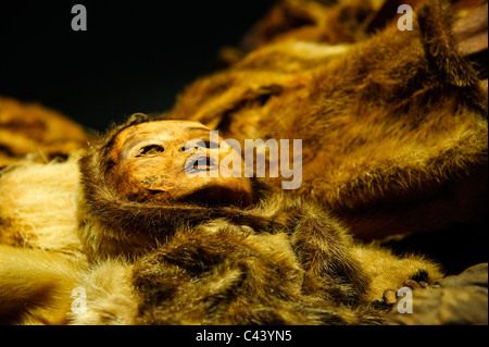 La Groenlandia, Europa, west coast, Nuuk, capitale, mamma, Museo Nazionale, museo, famosa Foto Stock