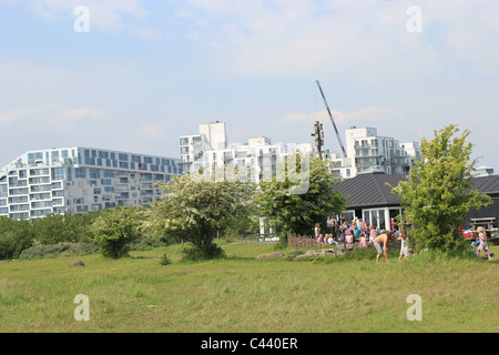 Centro natura di vestamager, Copenhagen, Danimarca. Foto Stock