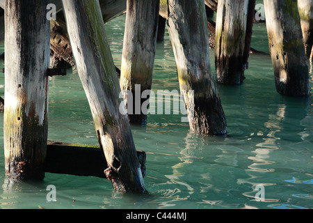 Supporti di legno per un molo di Oamaru, Nuova Zelanda Foto Stock