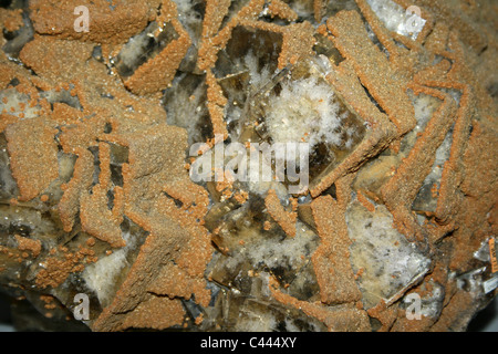 Fluorite giallo bruno cristalli cubici con Siderite Overgrowth, St Peters miniera, Allenheads, Northumberland, Inghilterra Foto Stock