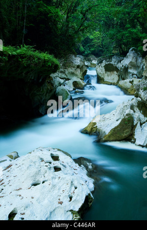 Semuc Champey, il Rio Cahabon, Guatemala Foto Stock