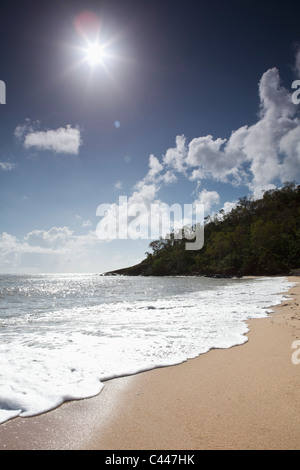 Bordo dell'acqua su una spiaggia di sabbia Foto Stock