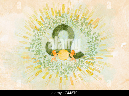 Segno Zodiacale Leone Foto Stock