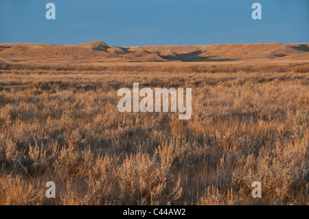 Blocco West, praterie National Park, Sud Sasketchewan, Canada, America del Nord, il paesaggio Foto Stock