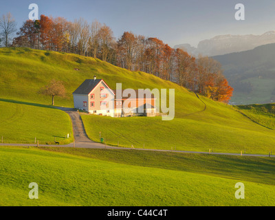 Appenzell, agriturismo, montagne, autunno, scenario, prati, Appenzell, Svizzera, house, home, collina, Schaltt Foto Stock