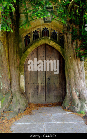 Yew alberi che fiancheggiano porta nord di San Edward's Chiesa, Stow-su-il-Wold, Gloucestershire, England, Regno Unito Foto Stock