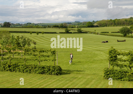 Lone figura a piedi un cane in espansiva di campagna inglese Foto Stock