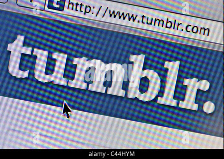 Close up Tumblr come visto sul suo sito web. (Solo uso editoriale: -print, TV, e-book e Redazione sito web). Foto Stock