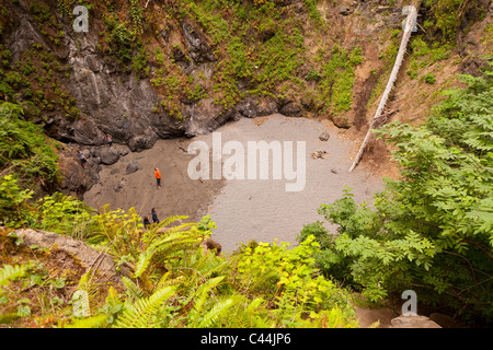 MENDOCINO COUNTY, CALIFORNIA, STATI UNITI D'AMERICA - dolina vicino alla costa. Foto Stock