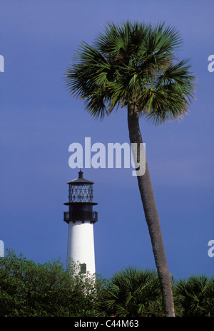 Cape Florida Lighthouse e Palm Tree in Dade County, Florida Foto Stock