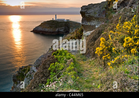 Sud pila faro al tramonto, Isola Santa, Anglesey, Galles del Nord, Regno Unito Foto Stock