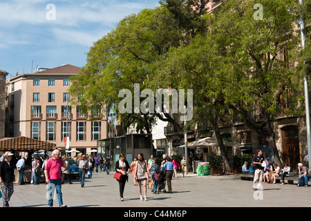 Plàca de la Seu, Barcelona, Spagna. Foto Stock