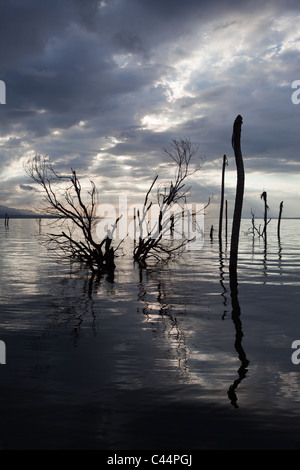 Impressioni di Saltlake lago Enriquillo, Independencia Provincia, Repubblica Dominicana Foto Stock