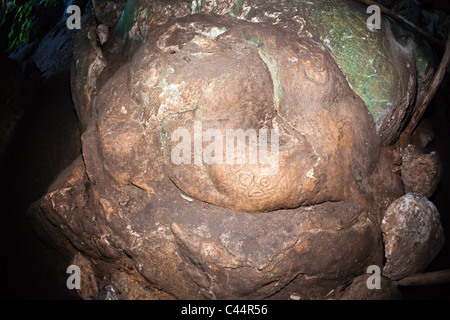 Cemi incisioni su roccia all'interno di San Gabriel grotte di calcare, Parco Nazionale Los Haitises, Repubblica Dominicana Foto Stock