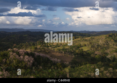 Colline dell'entroterra, Punta Rucia, Repubblica Dominicana Foto Stock