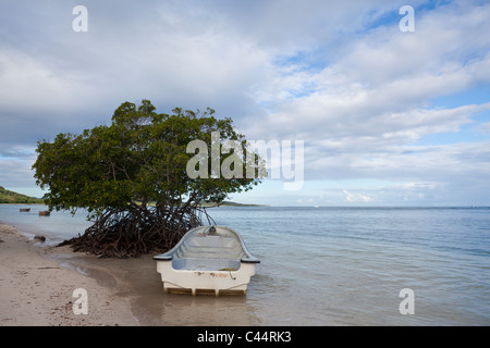 Spiaggia del Parco Nazionale di Estero Hondo, Repubblica Dominicana Foto Stock