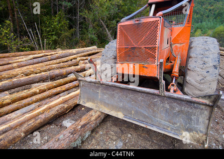 Buldozer e linee intagliate in una foresta, Anso Pirenei, Huesca, Aragona, Spagna Foto Stock